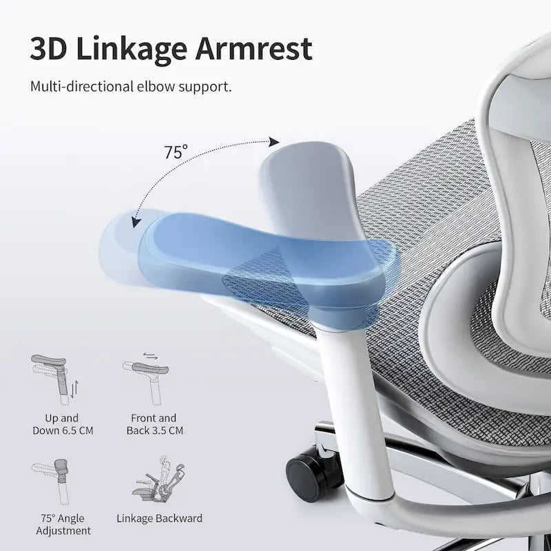 Chaise de Bureau Ergonomique, Support Lombaire Auto-Adaptatif et Accoudoirs à Liaison 3D, Noir - 78*70*125